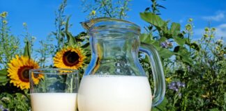 kefir a odchudzanie